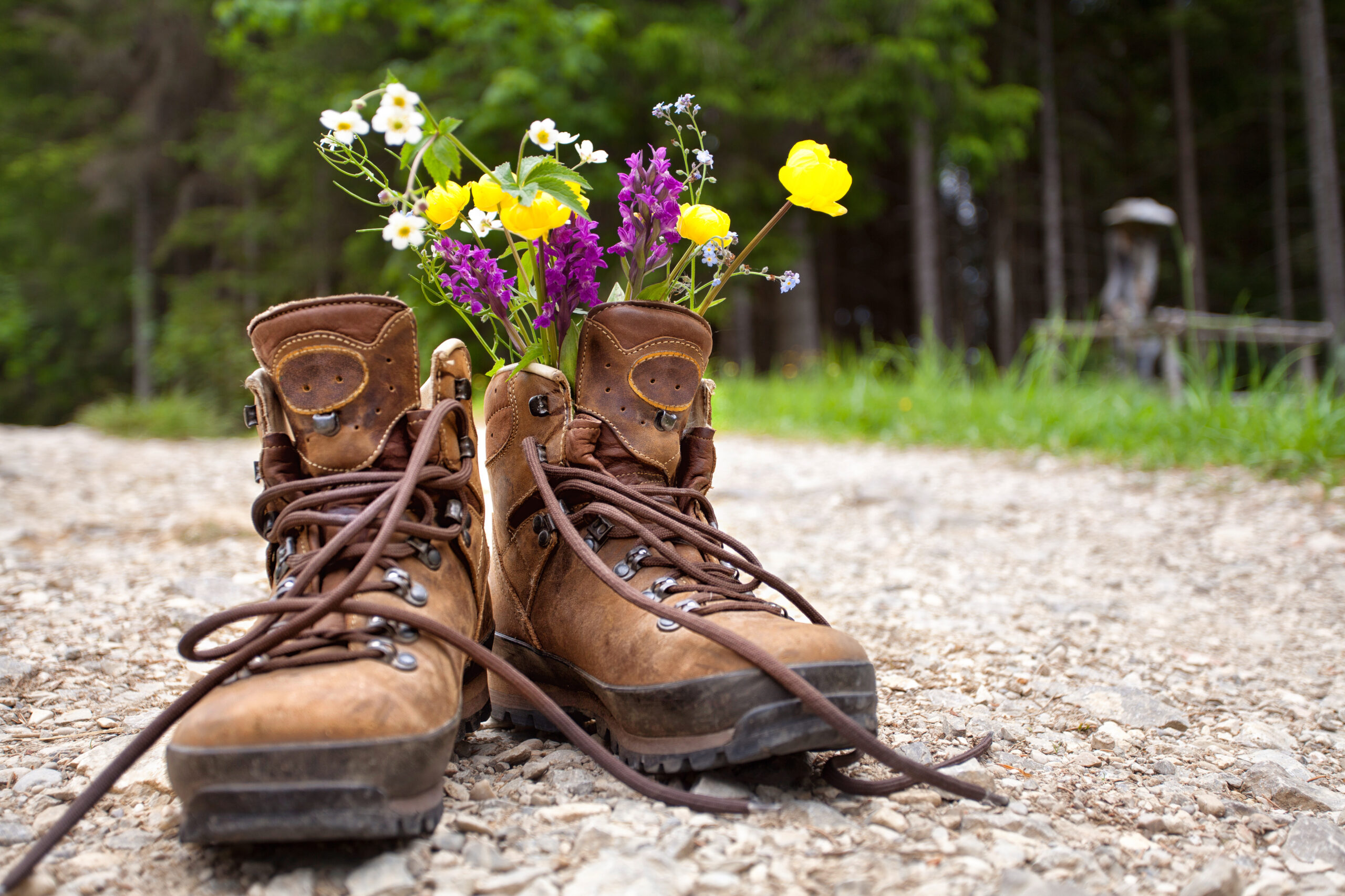 wandern im Gebirge