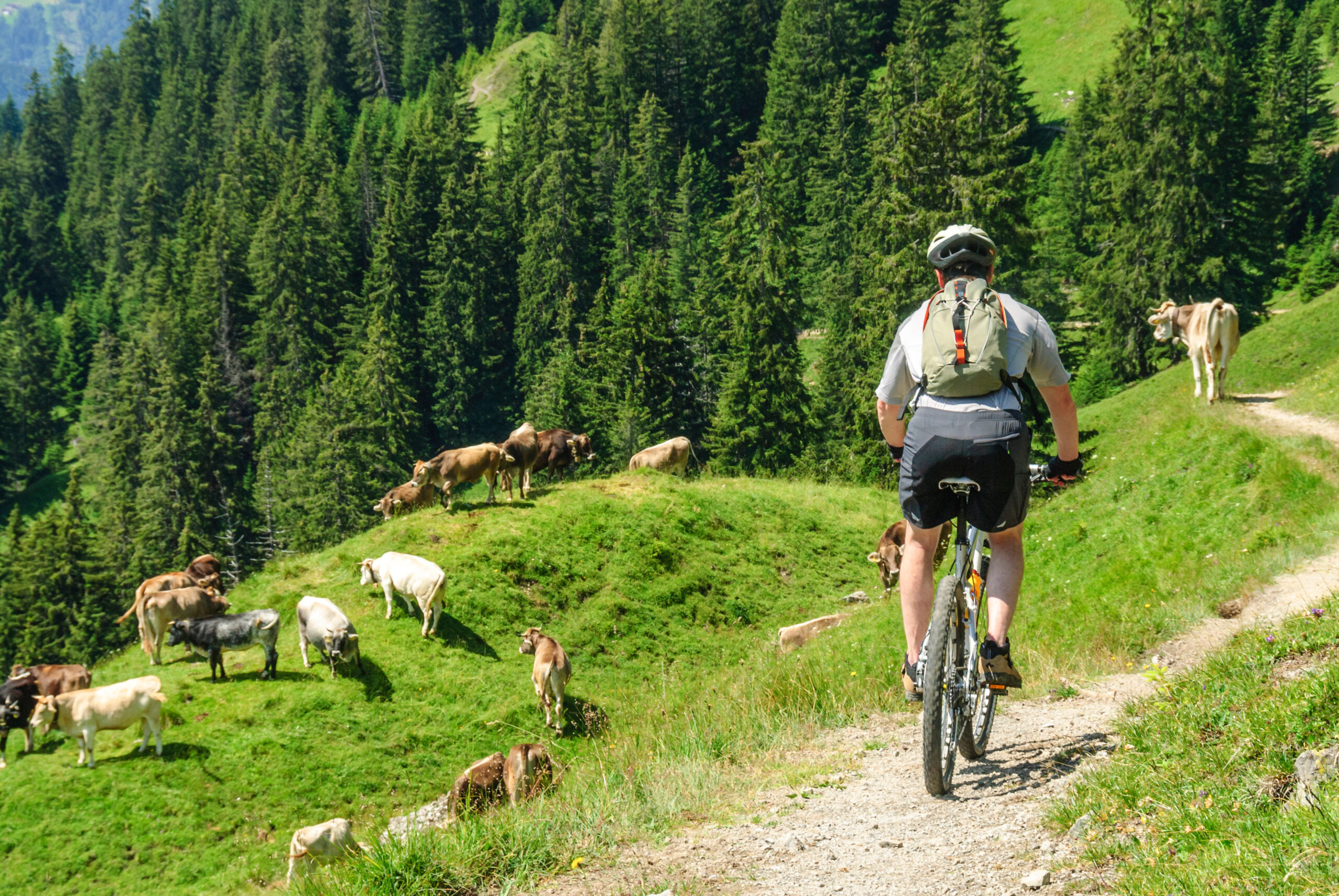MTB-Tour in Bartholomäberg